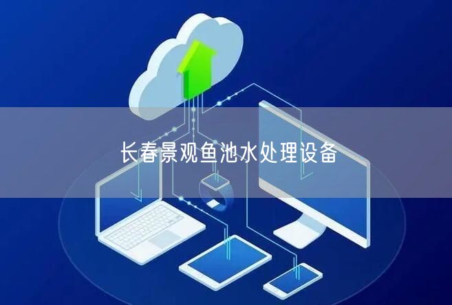 长春景观鱼池水处理设备