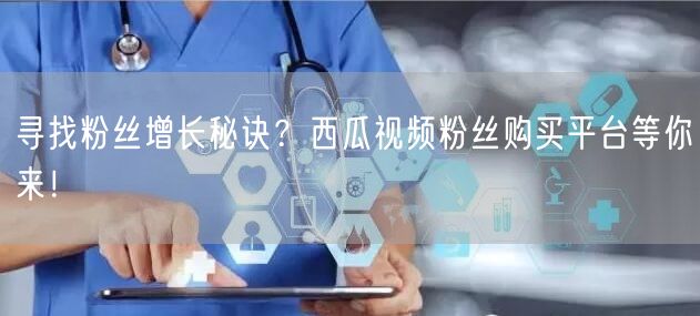 寻找粉丝增长秘诀?西瓜视频粉丝购买平台等你来!