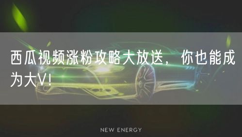 西瓜视频涨粉攻略大放送,你也能成为大V!