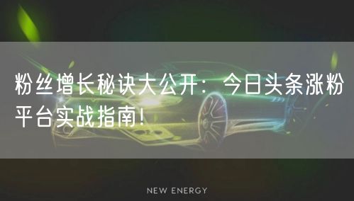 粉丝增长秘诀大公开:今日头条涨粉平台实战指南!