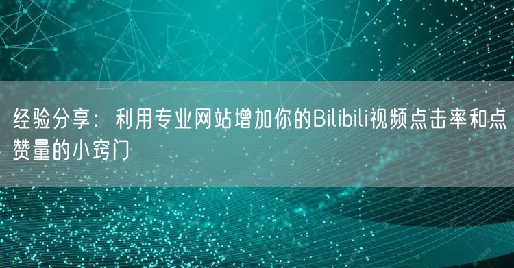 经验分享:利用专业网站增加你的Bilibili视频点击率和点赞量的小窍门