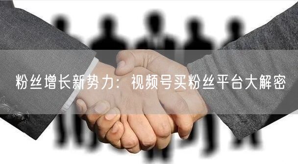 粉丝增长新势力:视频号买粉丝平台大解密