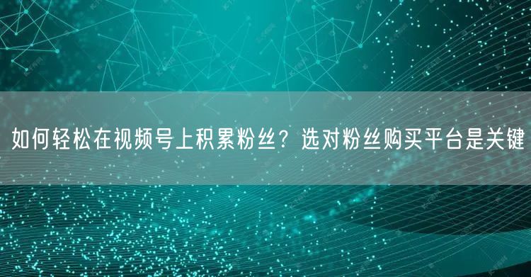 如何轻松在视频号上积累粉丝?选对粉丝购买平台是关键
