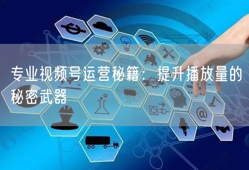 专业视频号运营秘籍：提升播放量的秘密武器