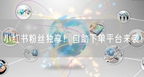 小红书粉丝独享!自助下单平台来袭!