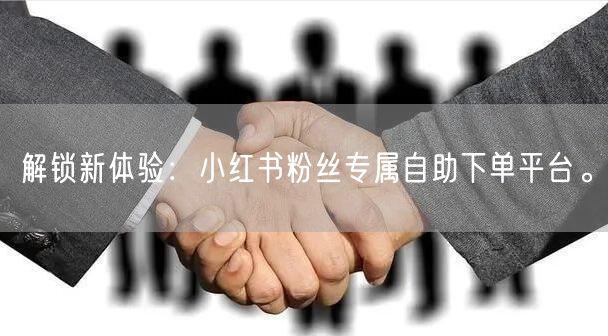 解锁新体验:小红书粉丝专属自助下单平台。