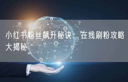 小红书粉丝飙升秘诀：在线刷粉攻略大揭秘