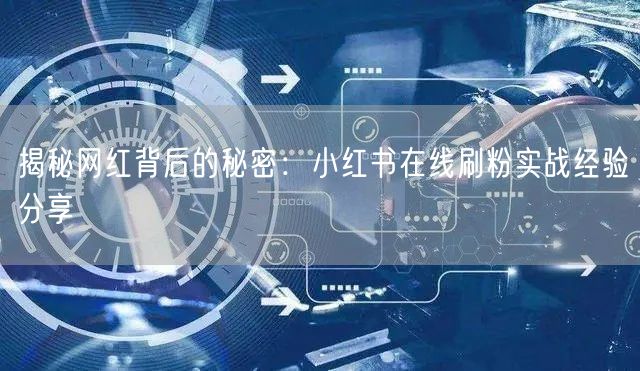 揭秘网红背后的秘密：小红书在线刷粉实战经验分享
