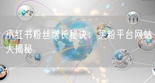 小红书粉丝增长秘诀:买粉平台网站大揭秘