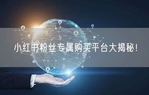 小红书粉丝专属购买平台大揭秘!