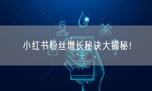 小红书粉丝增长秘诀大揭秘!