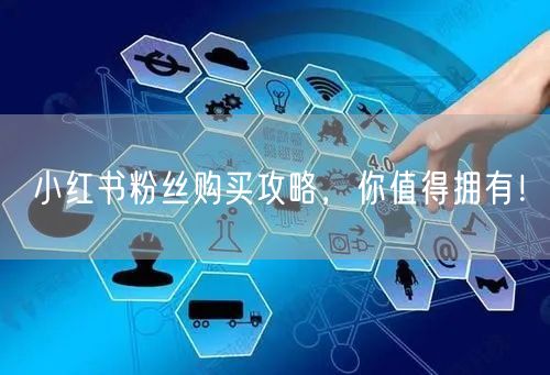 小红书粉丝购买攻略,你值得拥有!