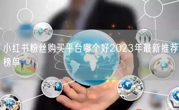 小红书粉丝购买平台哪个好2023年最新推荐榜单
