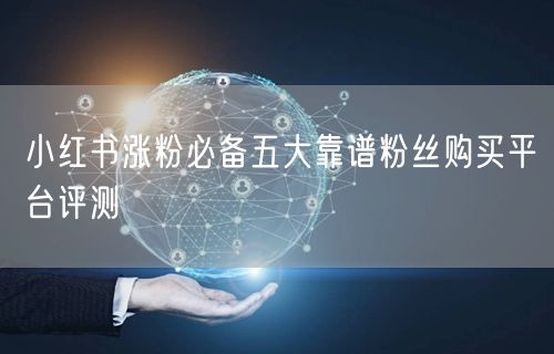 小红书涨粉必备五大靠谱粉丝购买平台评测