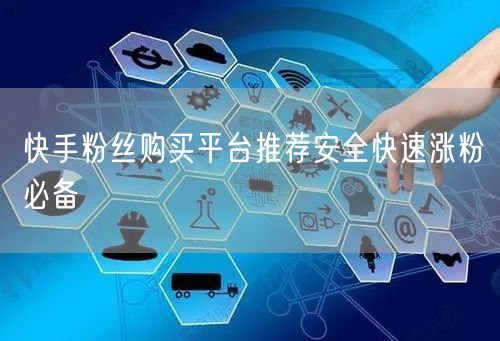 快手粉丝购买平台推荐安全快速涨粉必备