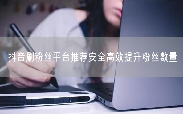 抖音刷粉丝平台推荐安全高效提升粉丝数量